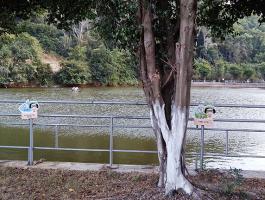 越秀区疾控中心